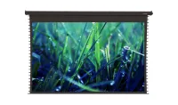 ViewScreen Regal (16:10) 877*578 (861*538) PW, black casing  (с пультом)