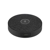 AVCLINK SP100
