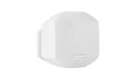 BIAMP MASK2-W