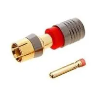0049017_con-comp-rcamrg-59-gold