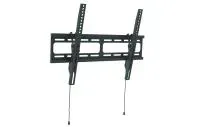Wize WT55