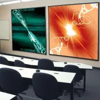 Draper Cineperm HDTV (9:16) 165/65" 81*144 XH600V (HDG)
