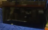 Exell EXPD-WI453AM 49