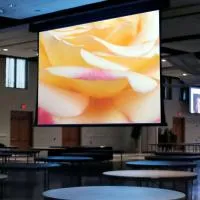 Draper Paragon/V HDTV (9:16) 577/227" 282*503 XT1000V ebd 12"