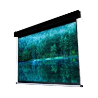 ViewScreen Antis Pro (16:9) 676*404 (664*374) MW (с пультом)