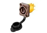 ROXTONE RAC3MPI-WP Brown