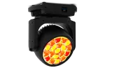 AYRTON Argo 6 FX