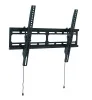 Wize WT55
