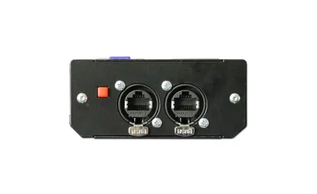 lm1back