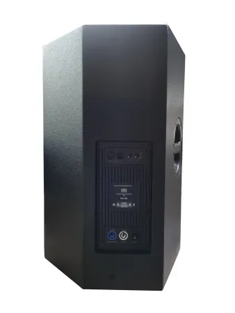 Купить SVS Audiotechnik FS-15A DSP по выгодной цене в Москве