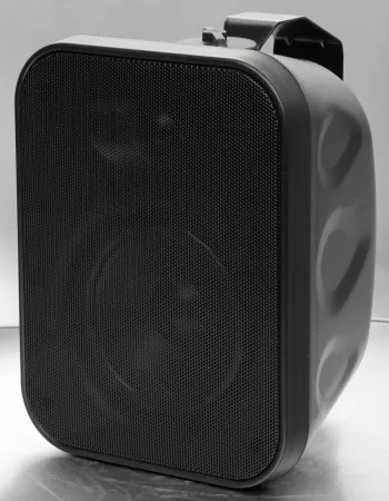 Купить SVS Audiotechnik WSP-40 Black по выгодной цене в Москве