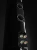 Купить DALI EPICON 8 Black Satin по выгодной цене в Москве