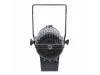 Купить SILVER STAR SS868SW FREZNO MINI по выгодной цене в Москве