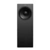 Genelec W371AP