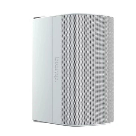 Купить Biamp Desono DX-S5-UB-W White по выгодной цене в Москве