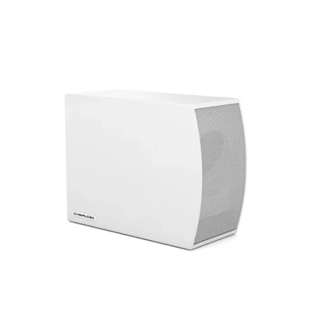 Купить CVGAUDIO SUBone model C-6W/CR/T по выгодной цене в Москве